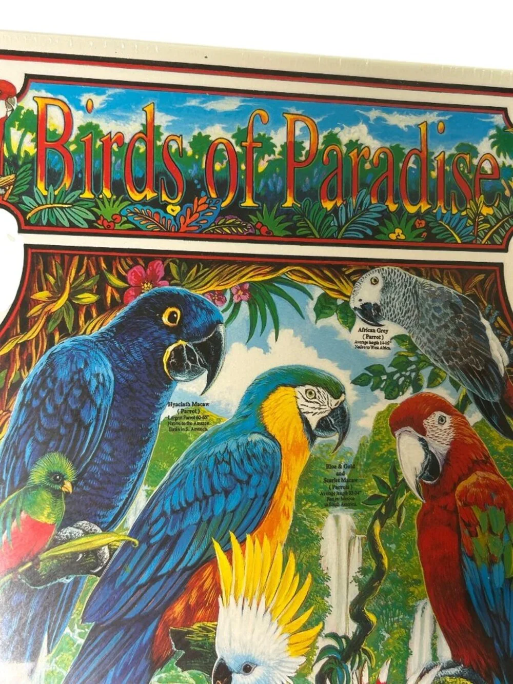 NEW Birds Of Paradise 1000 Piece Puzzle White Mountain Puzzles Tropical Bird USA